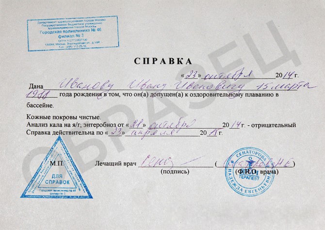 Справка в бассейн для взрослого Справка в бассейн для взрослого